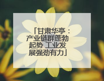 甘肃华亭：产业链群蓬勃起势 工业发展强劲有力